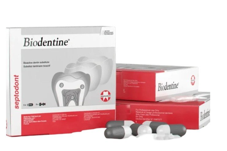 BIODENTINE